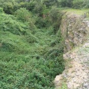 Years of neglect left this SSSI seriously overgrown and completely inaccessible (Foss Cross Quarry, Gloucestershire).