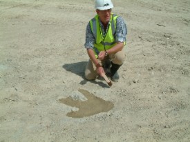 Close-up of the Megalosaurus footprint at Ardley Quarry.