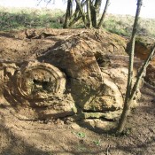 Nodules in the Kellaways Sand, South Cerney