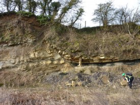 Faulting at a White Limestone quarry, Oxfordshire.