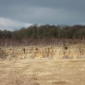 Extensive bedding planes at Breakheart Quarry, Dursley