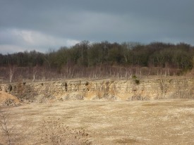 Extensive bedding planes at Breakheart Quarry, Dursley.