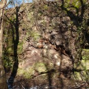 Boudinage at Chase End Quarry, Malverns