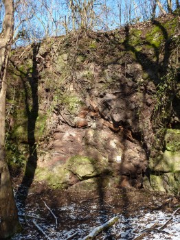 Boudinage at Chase End Quarry, Malverns.