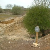 Foss Cross Quarry SSSI