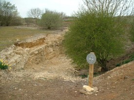 Foss Cross Quarry SSSI.