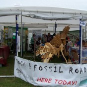 Rock & Fossil Roadshow at the Three Counties Showground, Worcestershire.