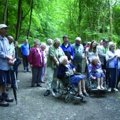 Wheelchair walk.