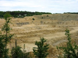 Daglingworth quarry face.