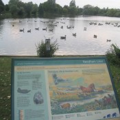 Interpretation board at Needham Lakes, Suffolk.