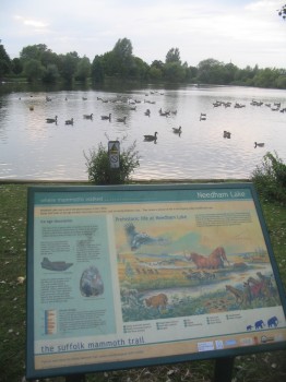 Interpretation board at Needham Lakes, Suffolk.