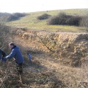 Scrub bashing at Foss Cross Quarry, Gloucestershire.