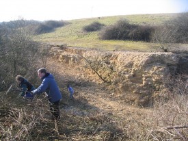 Scrub bashing at Foss Cross Quarry, Gloucestershire.