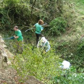 Spring clean with Oxfordshire Geology Trust.