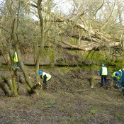 All hands on deck at Temple Grafton, Warwickshire.