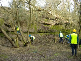 All hands on deck at Temple Grafton, Warwickshire.