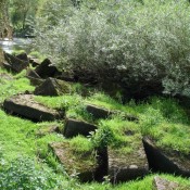 Dressed building stone, abandoned on the banks of the River Severn, could be an unusual contribution to the building stone sources listed for Worcestershire.