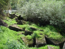 Dressed building stone, abandoned on the banks of the River Severn, could be an unusual contribution to the building stone sources listed for Worcestershire.